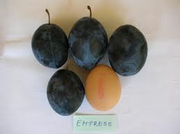 Empress Empress